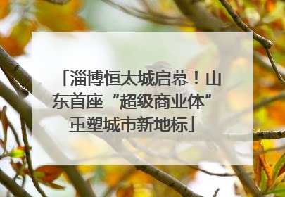 淄博恒太城启幕！山东首座“超级商业体”重塑城市新地标