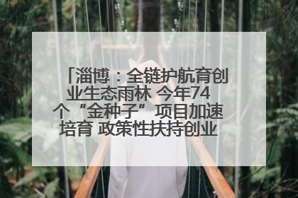 淄博：全链护航育创业生态雨林 今年74个“金种子”项目加速培育 政策性扶持创业9754人