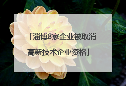 淄博8家企业被取消高新技术企业资格