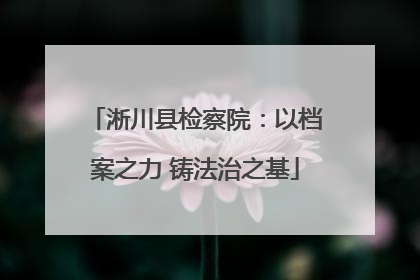 淅川县检察院：以档案之力 铸法治之基