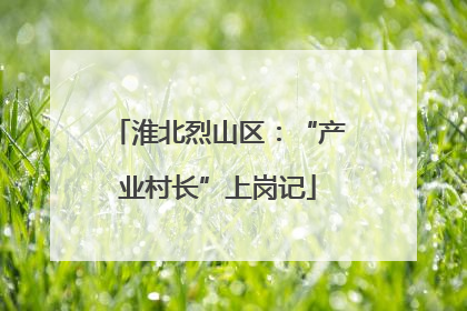 淮北烈山区：“产业村长”上岗记