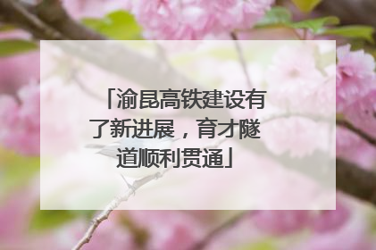 渝昆高铁建设有了新进展，育才隧道顺利贯通