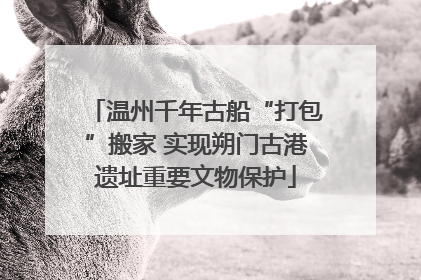 温州千年古船“打包”搬家 实现朔门古港遗址重要文物保护