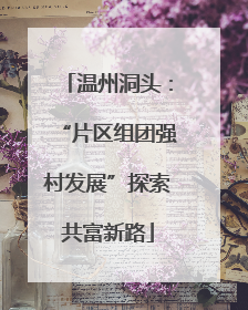 温州洞头：“片区组团强村发展”探索共富新路