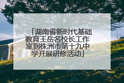 湖南省新时代基础教育王岳名校长工作室到株洲市第十九中学开展研修活动