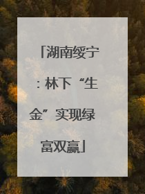 湖南绥宁：林下“生金”实现绿富双赢