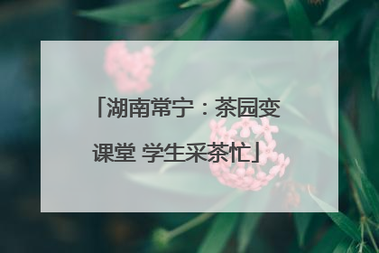 湖南常宁：茶园变课堂 学生采茶忙