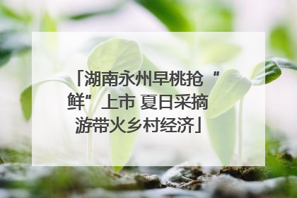 湖南永州早桃抢“鲜”上市 夏日采摘游带火乡村经济