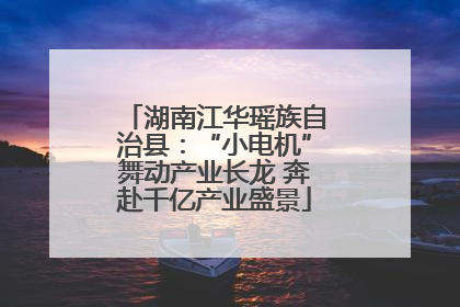 湖南江华瑶族自治县：“小电机”舞动产业长龙 奔赴千亿产业盛景