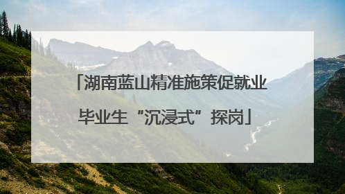 湖南蓝山精准施策促就业 毕业生“沉浸式”探岗