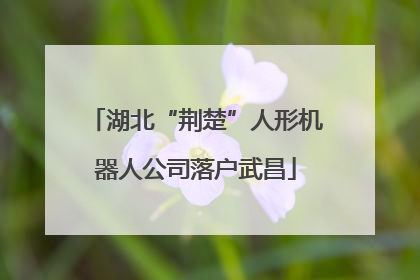 湖北“荆楚”人形机器人公司落户武昌