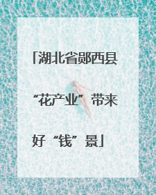 湖北省郧西县“花产业”带来好“钱”景