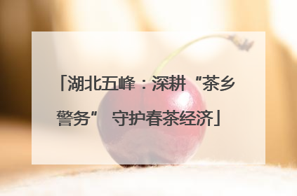 湖北五峰：深耕“茶乡警务” 守护春茶经济