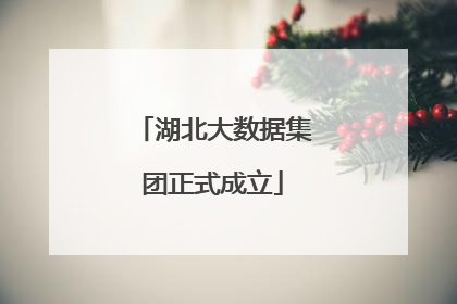 湖北大数据集团正式成立