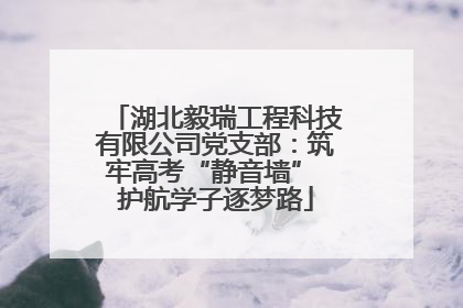 湖北毅瑞工程科技有限公司党支部：筑牢高考“静音墙” 护航学子逐梦路