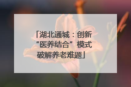 湖北通城：创新 “医养结合”模式 破解养老难题