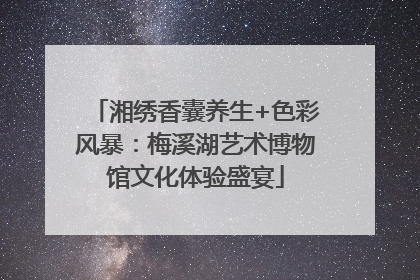 湘绣香囊养生+色彩风暴：梅溪湖艺术博物馆文化体验盛宴