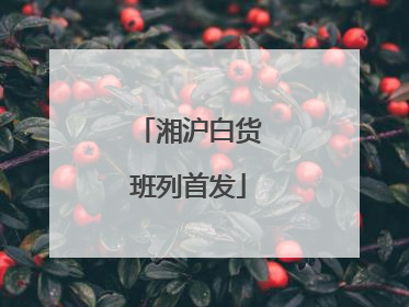 湘沪白货班列首发