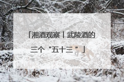 湘酒观察丨武陵酒的三个“五十三 ”