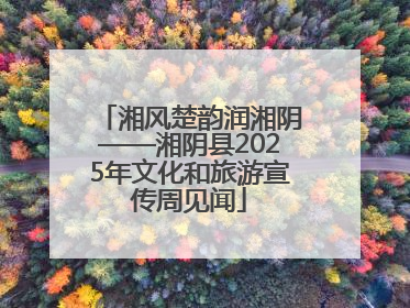 湘风楚韵润湘阴——湘阴县2025年文化和旅游宣传周见闻