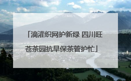 滴灌织网护新绿 四川旺苍茶园抗旱保茶管护忙