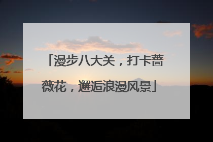 漫步八大关，打卡蔷薇花，邂逅浪漫风景