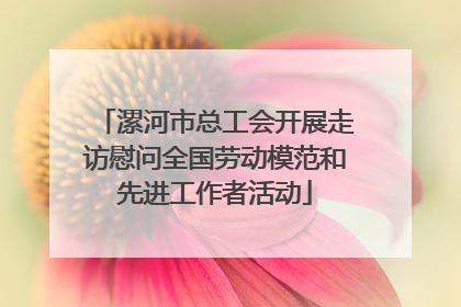 漯河市总工会开展走访慰问全国劳动模范和先进工作者活动