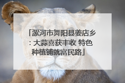 漯河市舞阳县姜店乡：大蒜喜获丰收 特色种植铺就富民路