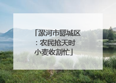漯河市郾城区：农民抢天时 小麦收割忙