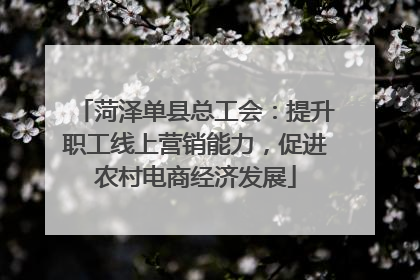菏泽单县总工会：提升职工线上营销能力，促进农村电商经济发展