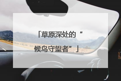 草原深处的“候鸟守望者”