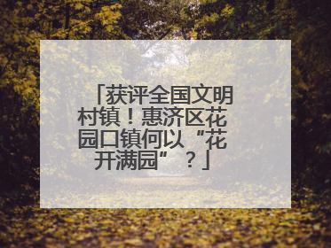 获评全国文明村镇！惠济区花园口镇何以“花开满园”？