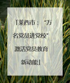 莱西市：“万名党员进党校” 激活党员教育新动能