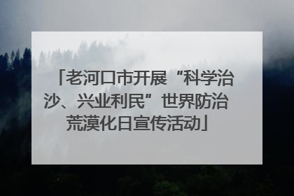 老河口市开展“科学治沙、兴业利民”世界防治荒漠化日宣传活动