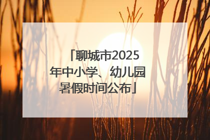 聊城市2025年中小学、幼儿园暑假时间公布