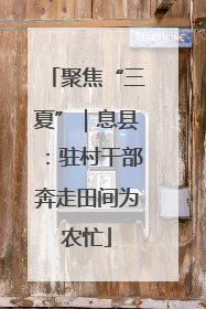 聚焦“三夏”｜息县：驻村干部奔走田间为农忙