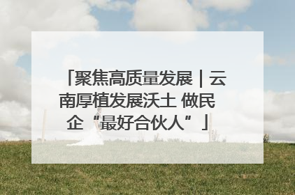 聚焦高质量发展｜云南厚植发展沃土 做民企“最好合伙人”