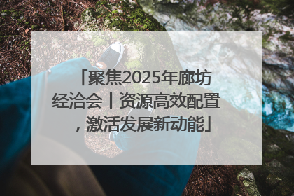 聚焦2025年廊坊经洽会丨资源高效配置，激活发展新动能