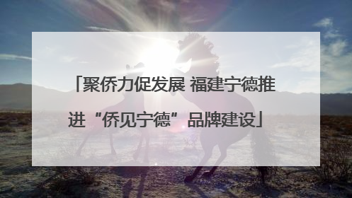 聚侨力促发展 福建宁德推进“侨见宁德”品牌建设