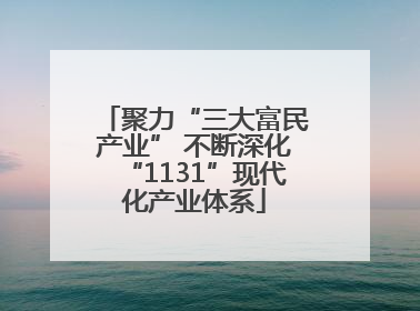 聚力“三大富民产业” 不断深化“1131”现代化产业体系