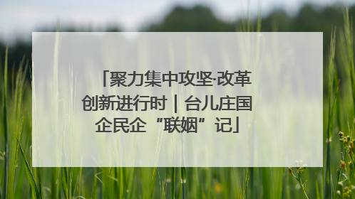聚力集中攻坚·改革创新进行时｜台儿庄国企民企“联姻”记