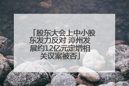 股东大会上中小股东发力反对 漳州发展约12亿元定增相关议案被否