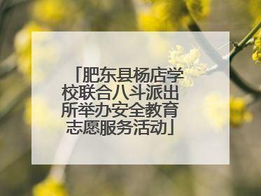 肥东县杨店学校联合八斗派出所举办安全教育志愿服务活动