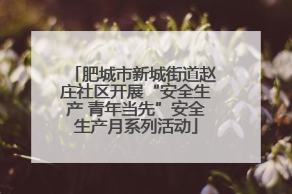 肥城市新城街道赵庄社区开展“安全生产 青年当先”安全生产月系列活动