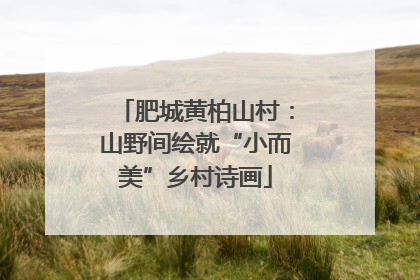 肥城黄柏山村：山野间绘就“小而美”乡村诗画