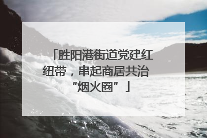 胜阳港街道党建红纽带，串起商居共治 “烟火圈”