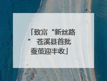 致富“新丝路” 苍溪县首批蚕茧迎丰收