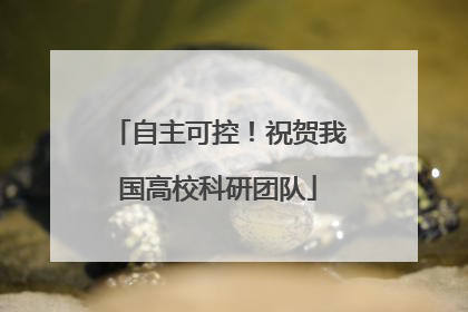 自主可控！祝贺我国高校科研团队