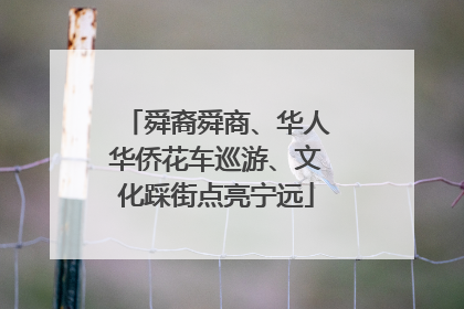 舜裔舜商、华人华侨花车巡游、文化踩街点亮宁远