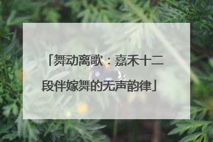 舞动离歌：嘉禾十二段伴嫁舞的无声韵律